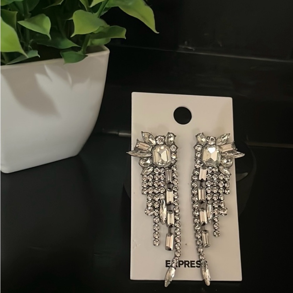 Express Earrings